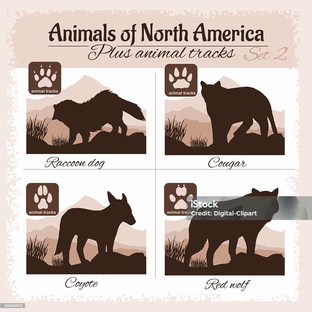 North America Animals And Animal Tracks Footprints Stock Illustration -  Download Image Now - iStock