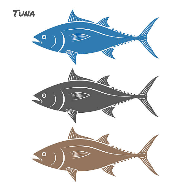 ilustraciones, imágenes clip art, dibujos animados e iconos de stock de atún de peces de ilustración de vectores sobre un fondo blanco - spearfishing sea bream tuna illustrated