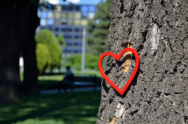Red heart figure on tree trunk in park with person on bench in background