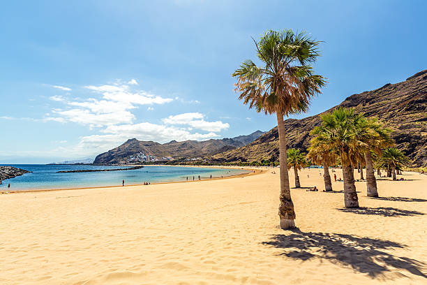 istock Las Teresitas Beach - Tenerife 525212066