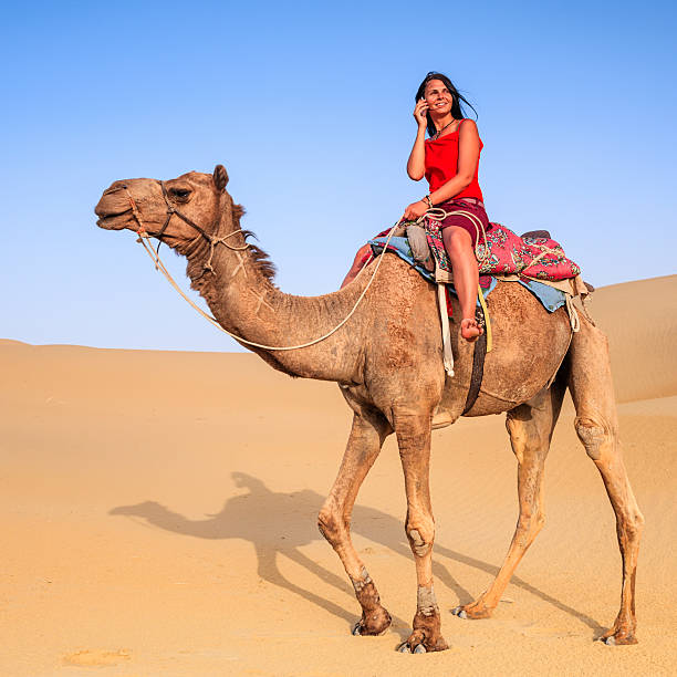 istock Young female tourist using mobile on a camel, Rajasthan, India 525212326