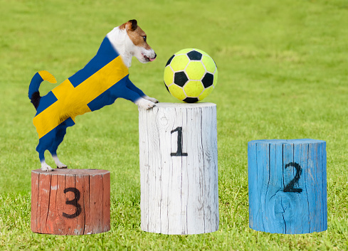 Dog with national flag on podium