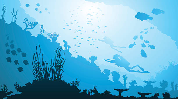 Underwater diving and marine life vector art illustration