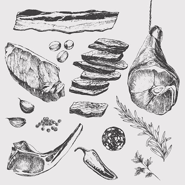 벡터 고기류 스테이크 스케치 그림이요 디자이너 템플릿을 양고기 립, 파르마 - butchers shop butcher meat delicatessen stock illustrations