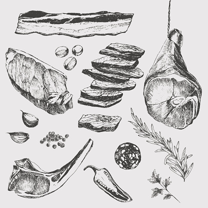 vector meat steak sketch drawing designer templates. lamb rib, parma ham, sirloin steak