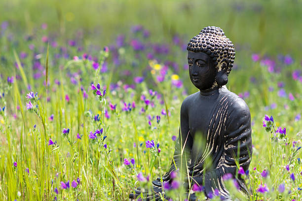 buddha figurine meditating in flower meadow