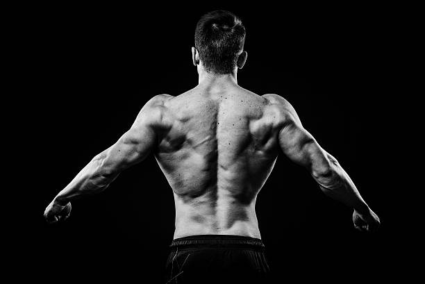 istock Young and fit bodybuilder athlete demonstrates biceps back view isolated 525217948