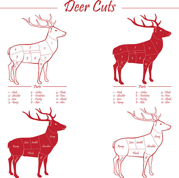 illustrazioni stock, clip art, cartoni animati e icone di tendenza di cervo schema di taglio di carne - shrank