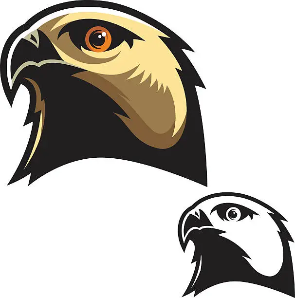 Vector illustration of Hawk Head Mascot