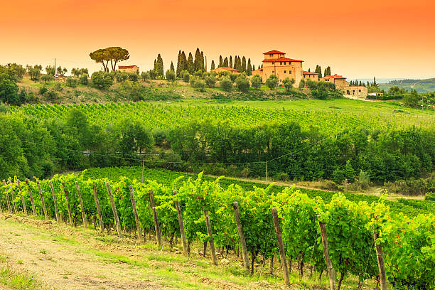 chianti-weinberg-landschaft mit stone house, toskana, italien, europa - chianti region stock-fotos und bilder