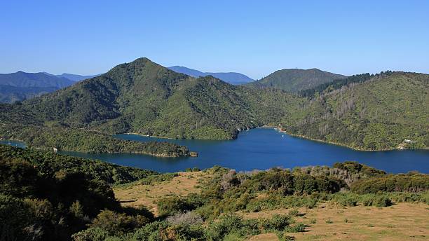 からの眺め、クィーンシャーロットトラック、ニュージーランド - queen charlotte track ストックフォトと画像