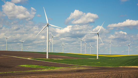 Wind Turbines in Field in Romania 