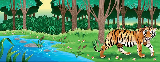 Vector illustration of Green forest with a tiger