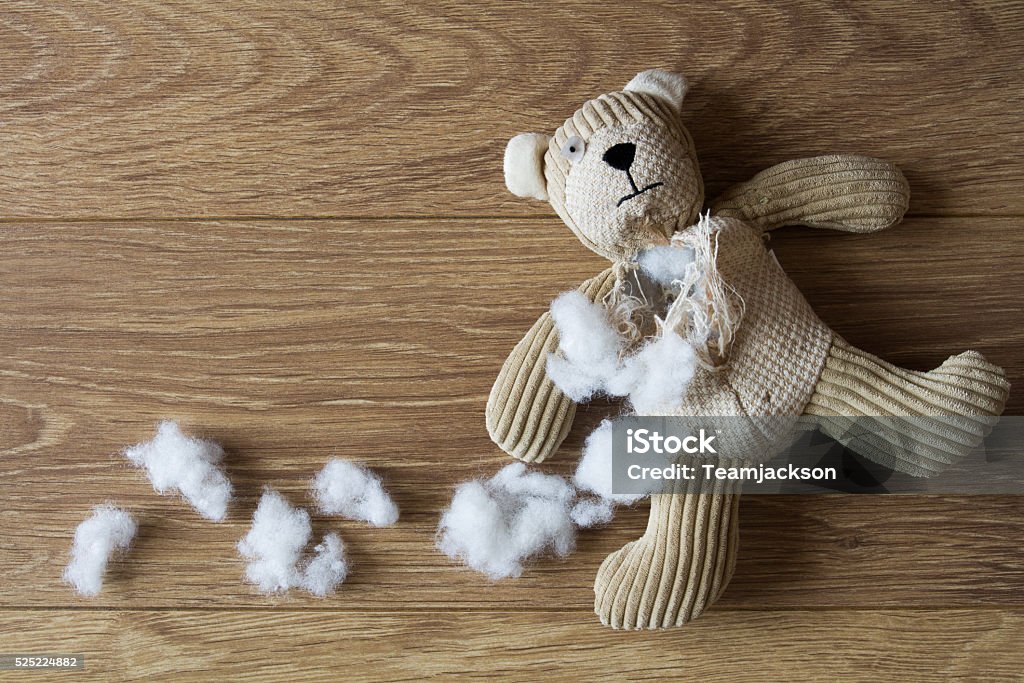 Sad, Abandoned Teddy bear A sad, children's teddy Bear with its stuffing torn and scattered over a wooden floor. Torn Stock Photo