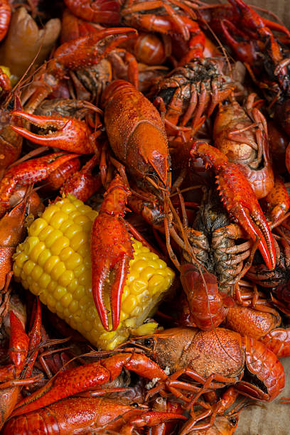 istock Louisiana Crawfish Boil 525224958