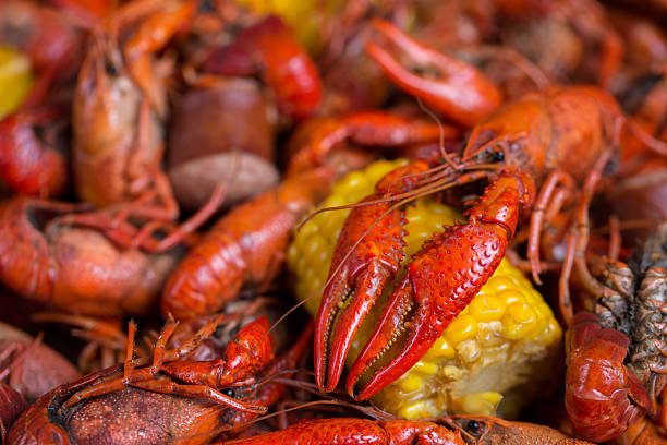 istock Louisiana Crawfish Boil 525225168