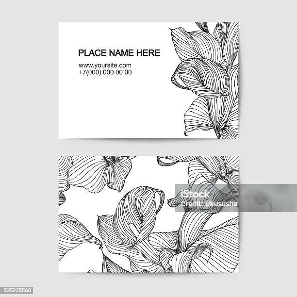 Visit Card Template With Calla Lily For Florist Salon Stock Illustration - Download Image Now