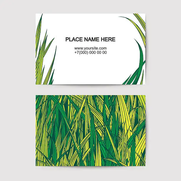 Vector illustration of visit card template with grass