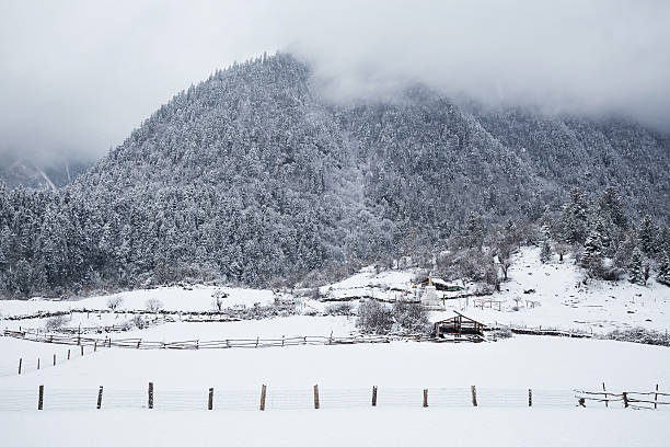 istock Country in snow 525226260