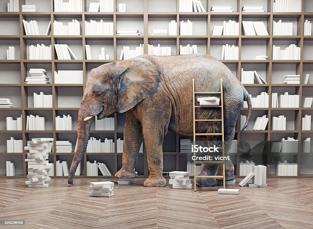 elephant  in the  library an elephant  in the room with book shelves. Creative concept. Photo combination Elephant Stock Photo