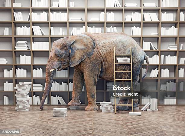 Elephant In The Library Stock Photo - Download Image Now - Elephant, Domestic Room, Book