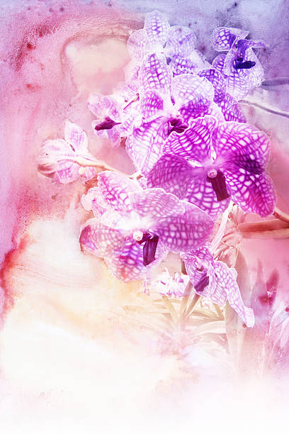 istock Flower watercolor illustration. 525229098