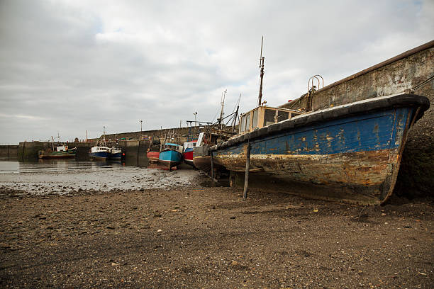 istock Old boats at low tide in a harbor 525230014