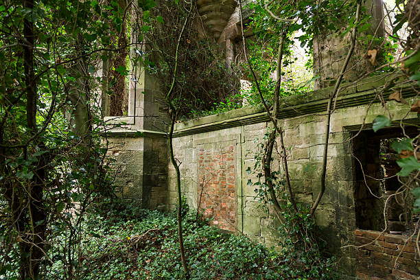 istock Scotland - Abandoned and overgrown stone house 525231256