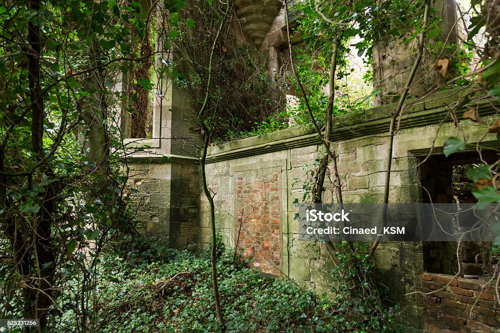 Scotland - Abandoned and overgrown stone house The ruined and overgrown Seacliffe House, Seacliffe Beach, North Berwick, Scotland. Abandoned Stock Photo