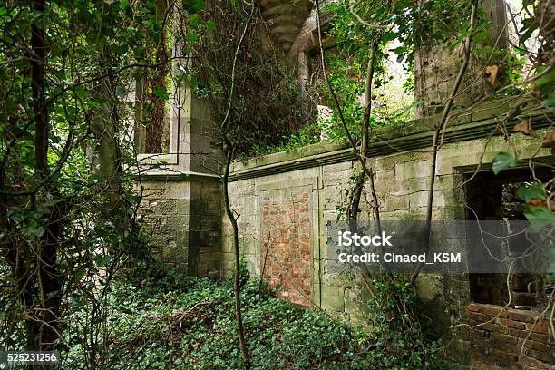 Scotland Abandoned And Overgrown Stone House Stock Photo - Download Image Now - Abandoned, Building Exterior, Camouflage