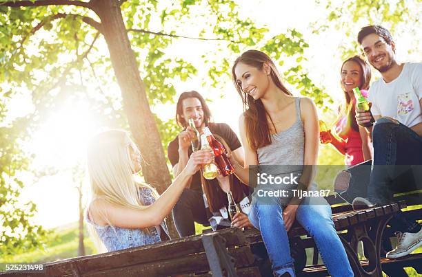 Eine Gruppe Von Jugendlichen Spaß Haben Im Freien Stockfoto und mehr Bilder von Bier - Bier, Menschen, Sitzbank