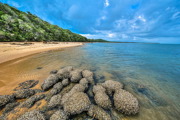 Inhaca Island Mozambique mozambique stock pictures, royalty-free photos & images