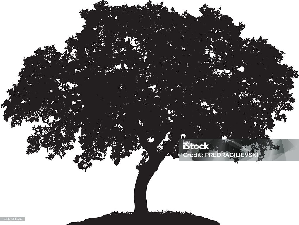 Silhueta de árvore - Vetor de Olmo royalty-free