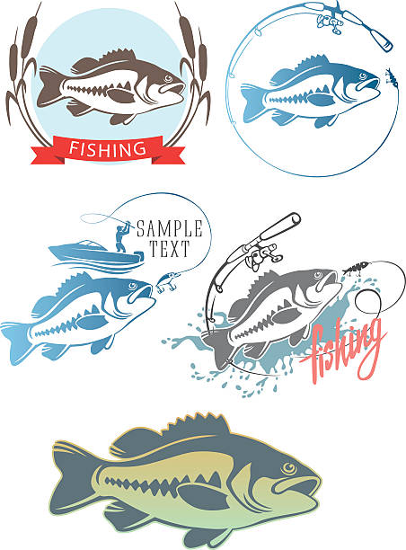 ikony ryby, okoń - rockfish stock illustrations