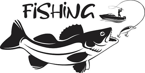fish walleye - minnow stock-grafiken, -clipart, -cartoons und -symbole