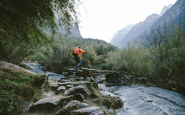 hiking di attraversare il ponte - annapurna range foto e immagini stock