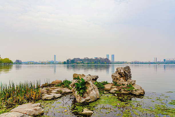 istock rocks on xuanwu lake 525235792