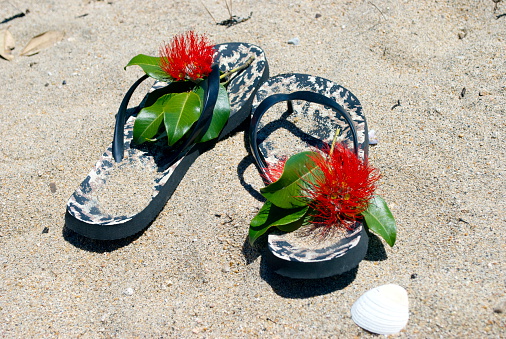 A Kiwiana Christmas background with all the elements for a Summer Holiday or Christmas background. A pair of Jandals and the iconic Pohutakawa which flowers just in time for the Christmas holidays; abandoned in the sand.