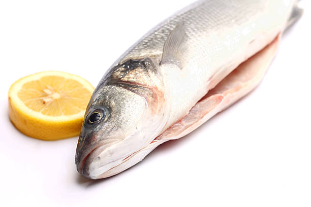 istock Sea bass isolated on white background with lemon 525241965