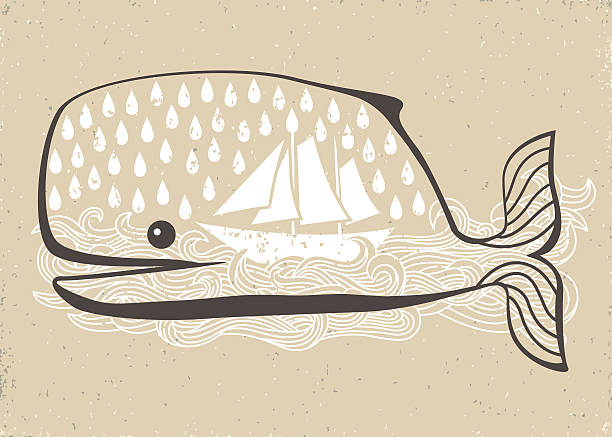 cachalot - sperm whale stock illustrations