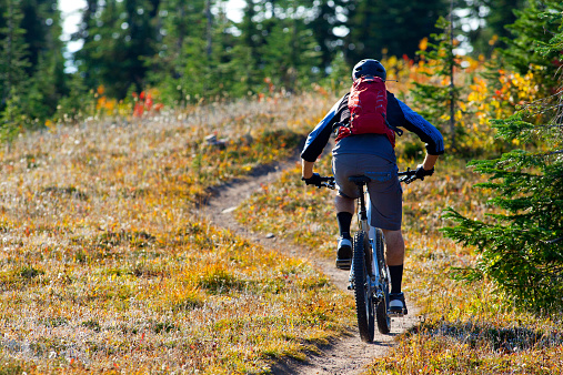 A male mountain bike rider enjoys a singletrack trail in British Columbia, Canada.