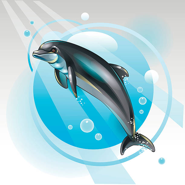 ilustrações, clipart, desenhos animados e ícones de dolphin - dolphin aquarium bottle nosed dolphin smiling