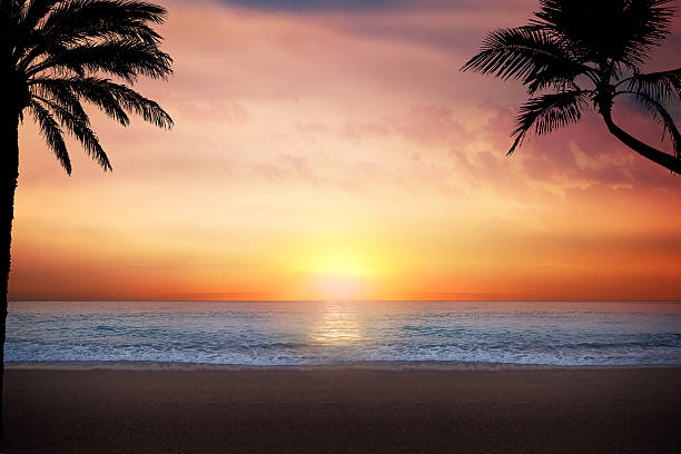 istock Scenic View Of Beach At Sunset 525244107