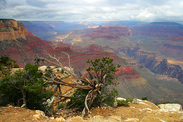 istock Grand Canyon National Park, USA 525246247