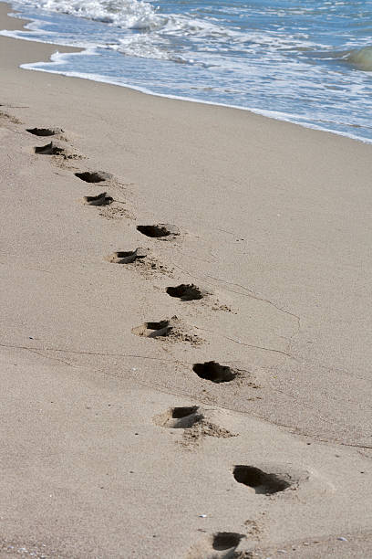 istock footprints on a sandy beach at the edge of sea 525248613