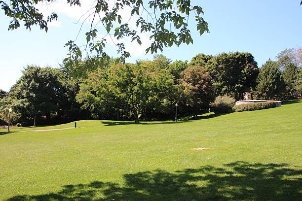 istock Landscape ~ Montreal Park ~ grass and trees 525262147
