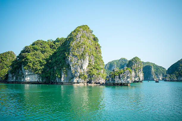 istock Limestone Halong bay landscape 525262861