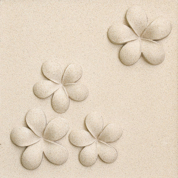 istock Plumeria flower on decorative sand stone 525272781
