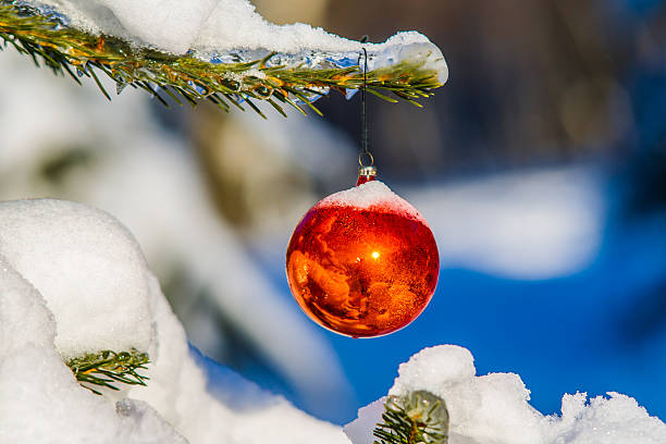 istock Red Christmas ball on a fir tree if the forest 525275929