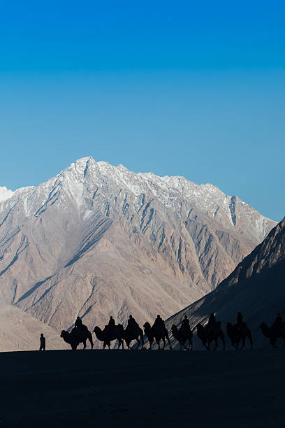 istock Caravan of travellers 525276545